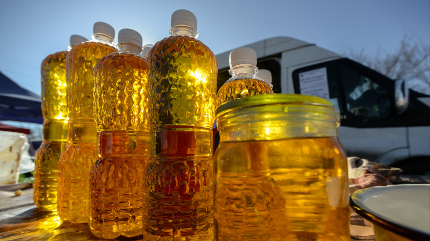    Фото: © РИА Новости/Константин Михальчевский