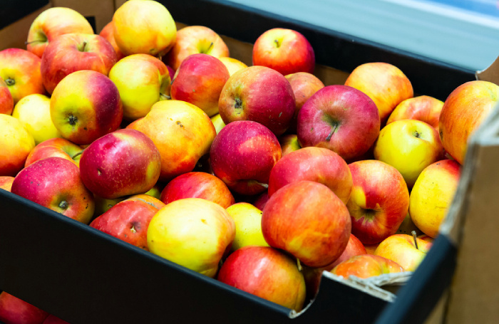    Яков Филимонов/фотобанк «Лори»