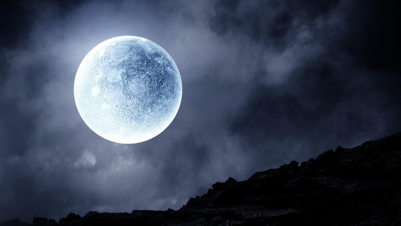 Фото: @Serg Nivens / freepik.com