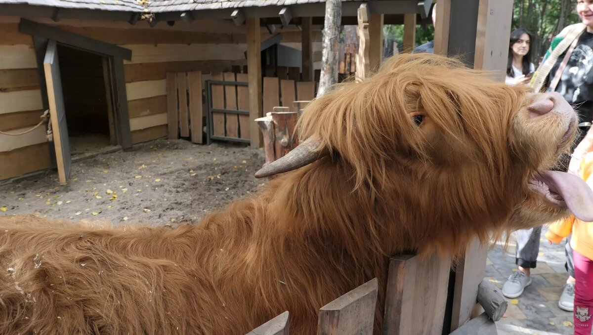     Автор: Эмилия Губарева Источник: atas.info