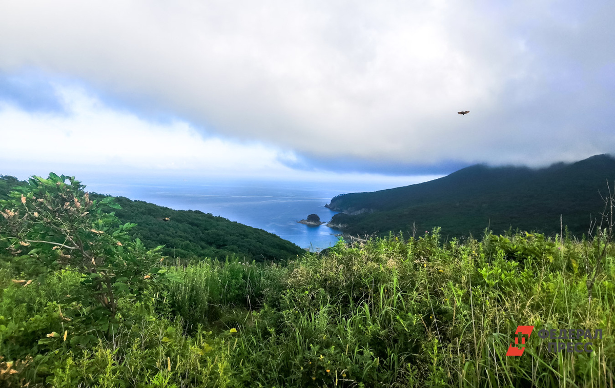 Качество жизни в Приморье должно повыситься благодаря разработке мастер-планов.  Фото: ФедералПресс / Анна Миронова