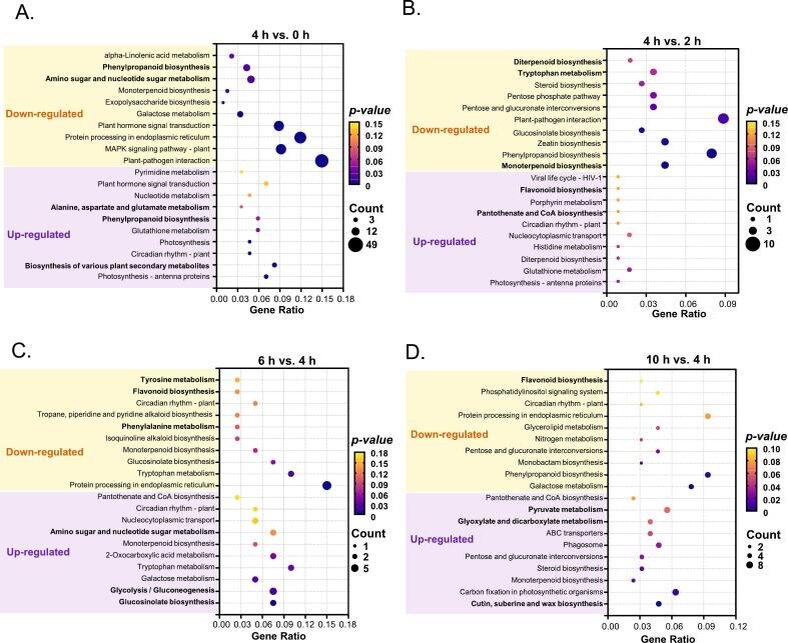 pmc.ncbi.nlm.nih.gov
