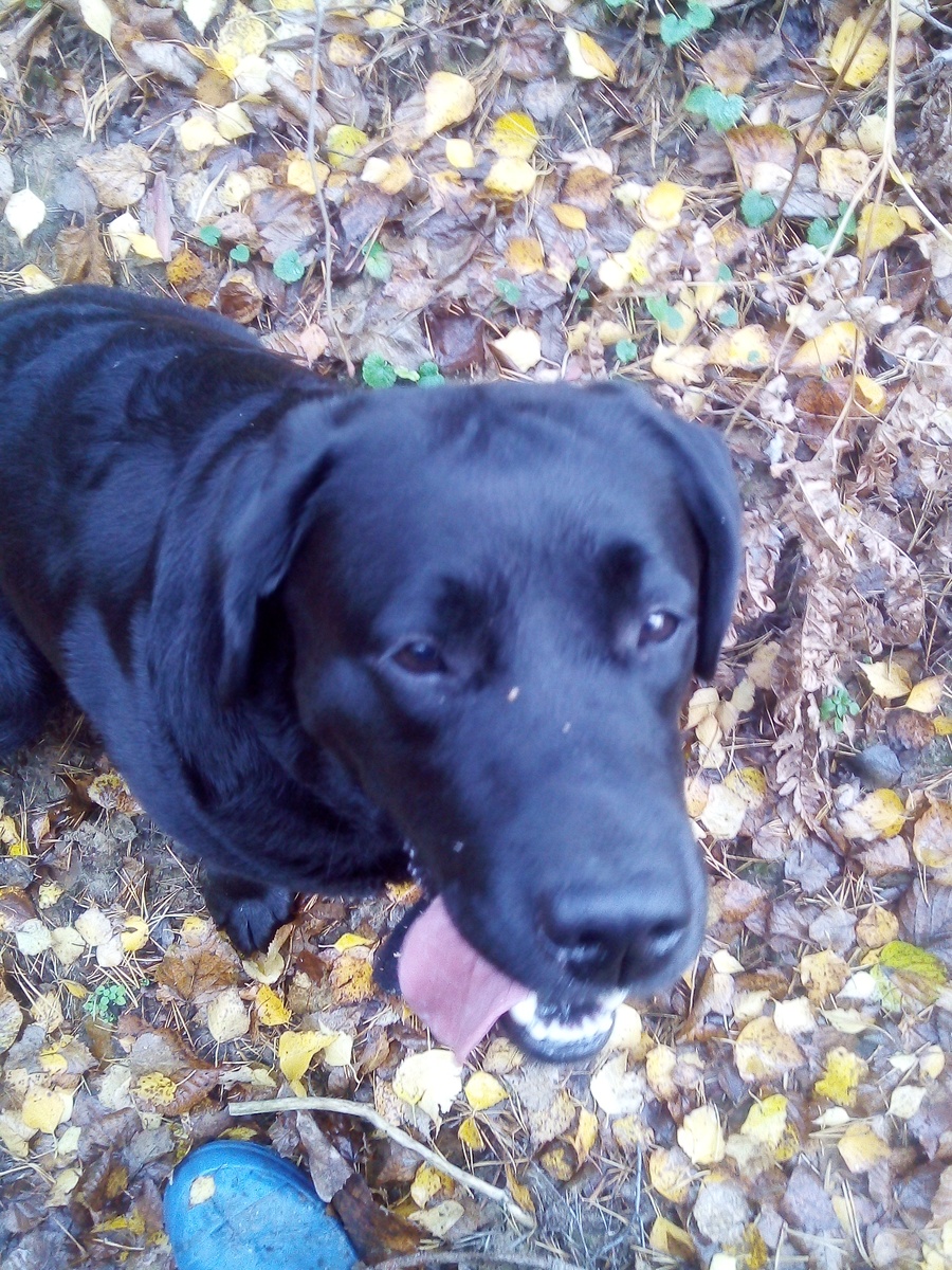 Фото автора.