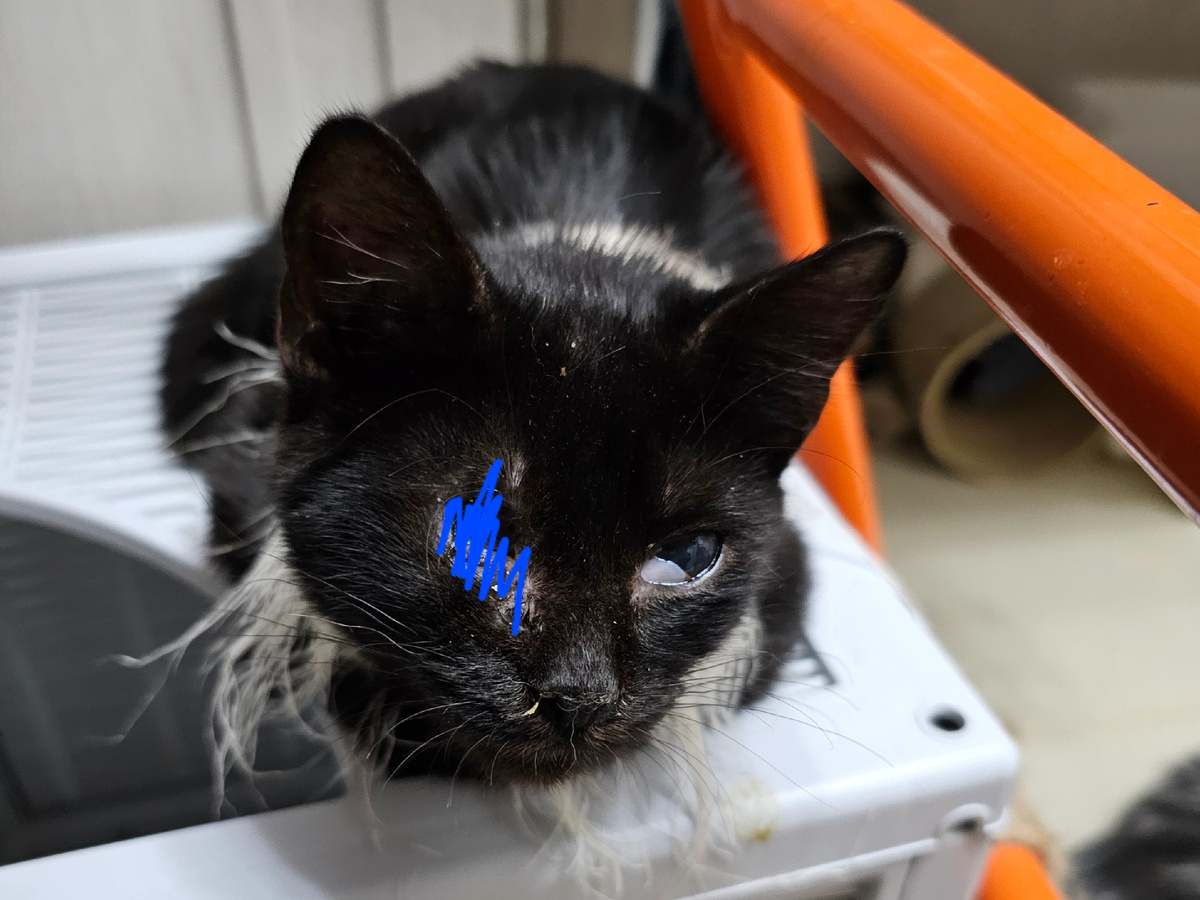 Фото автора. Ева.