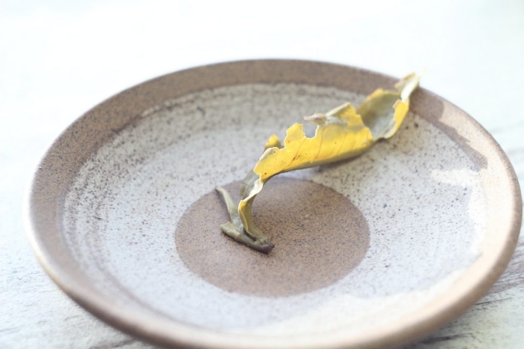 Облачный зеленый чай Сноу Шань (Шонла, Вьетнам). К тексту отношения не имеет. © Ольга Никандрова