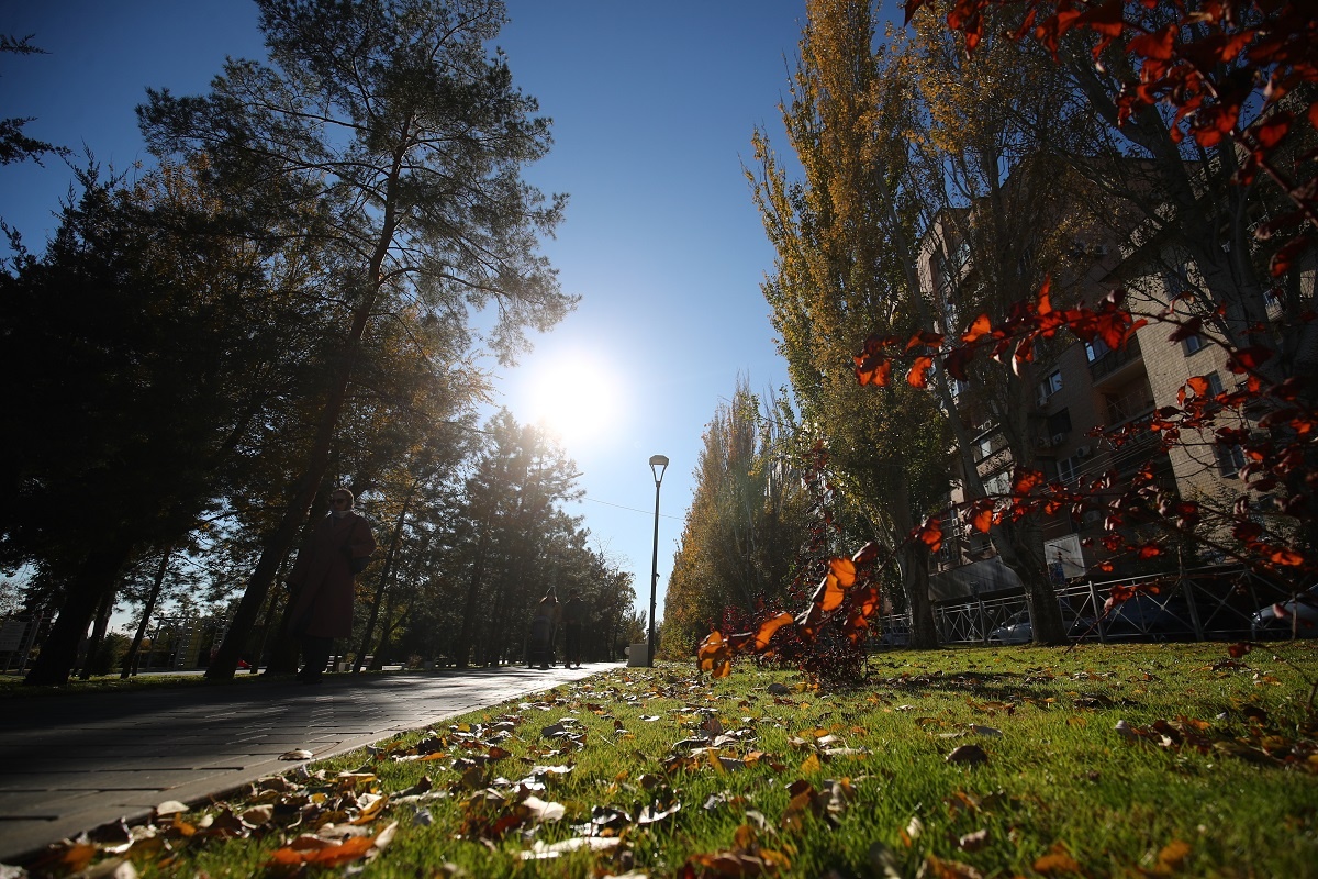 © Фото: ИД «Волгоградская правда» / Кирилл Брага