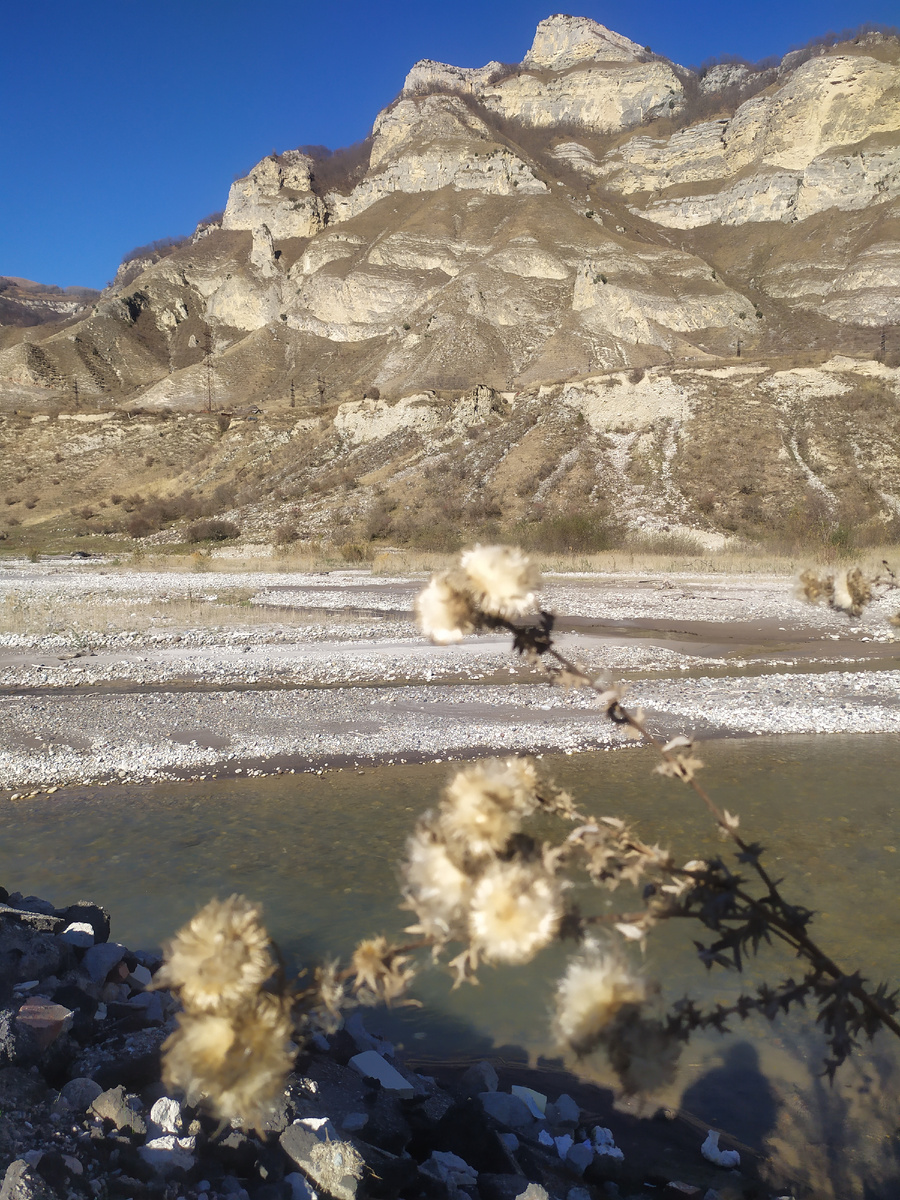 Дикая красота гор