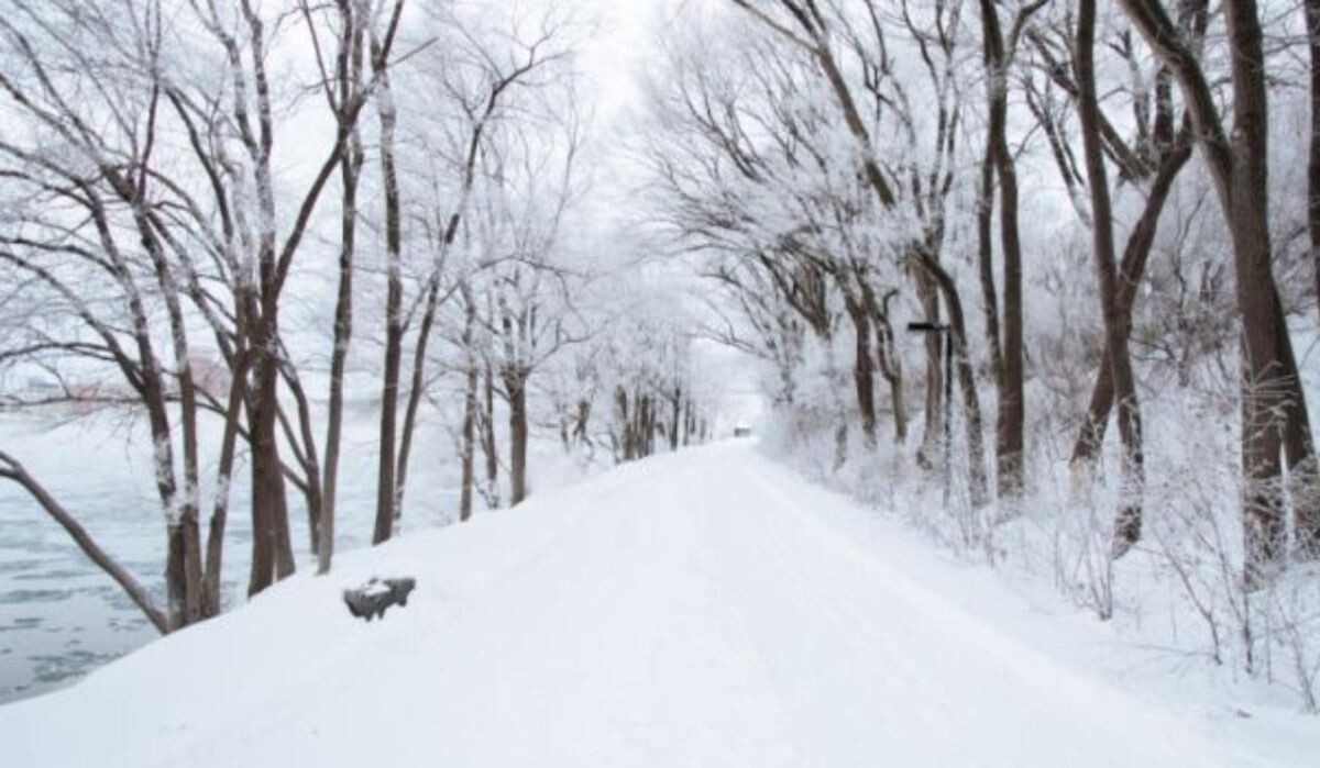     Улица. Источник: vestivrn.ru Автор фото: Максим Тертьяков