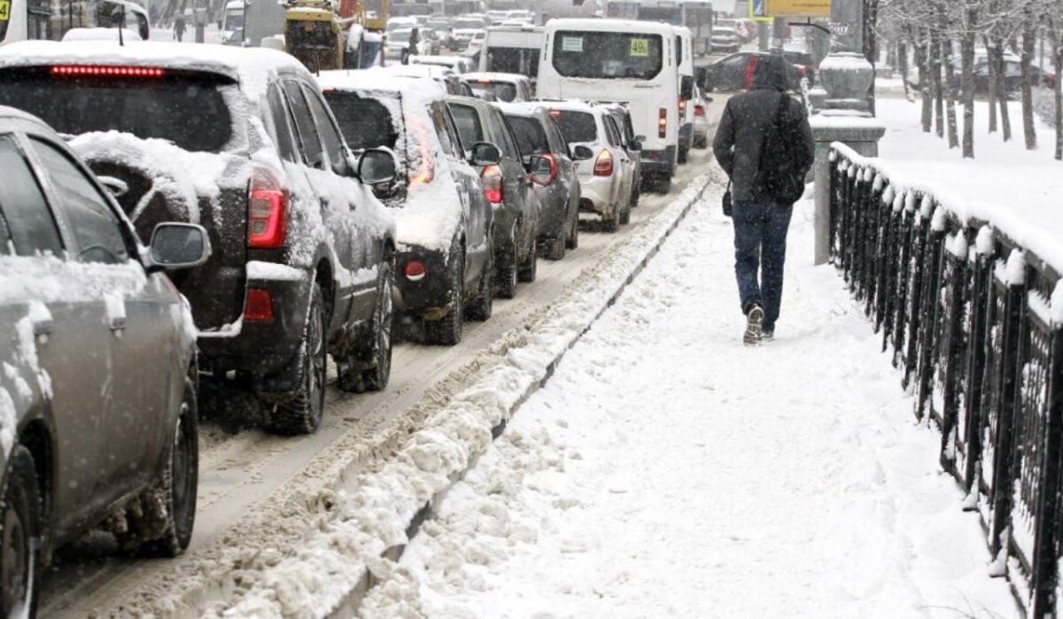     Мужчина. Источник: vestivrn.ru Автор фото: Пресс-служба администрации Воронежа