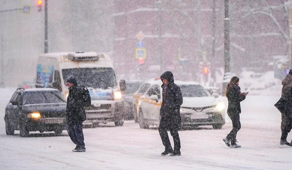     Снегопад. Источник: mos.ru Автор фото: Е.Самарина