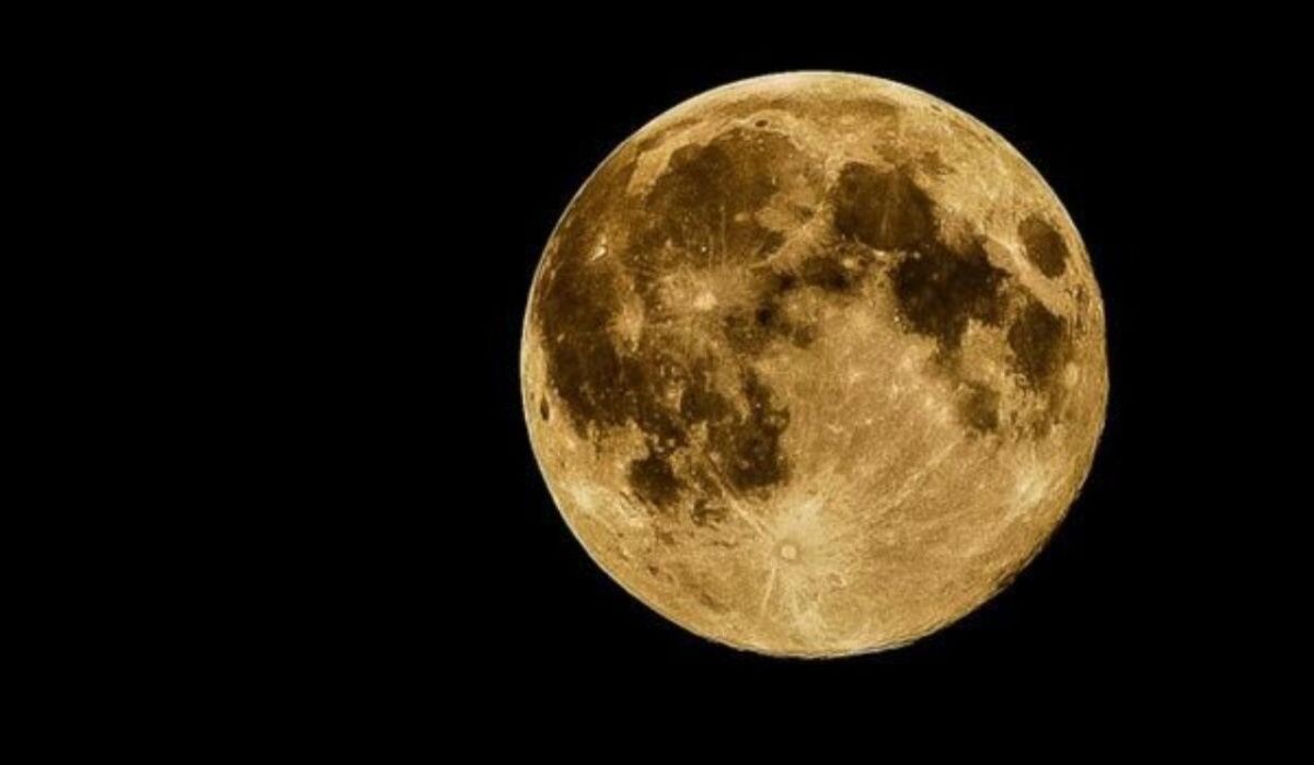     Луна. Источник: vestivrn.ru Автор фото: Елена Гончарова