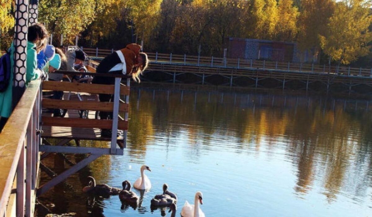     Люди возле водоема. Источник: mk.ru Автор фото: Пресс-служба администрации Воронежа