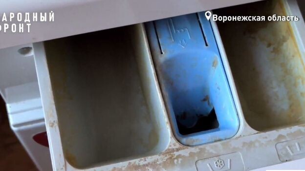     Источник: vestivrn.ru Автор фото: Пресс-службы «Народный фронт» в Воронежской области