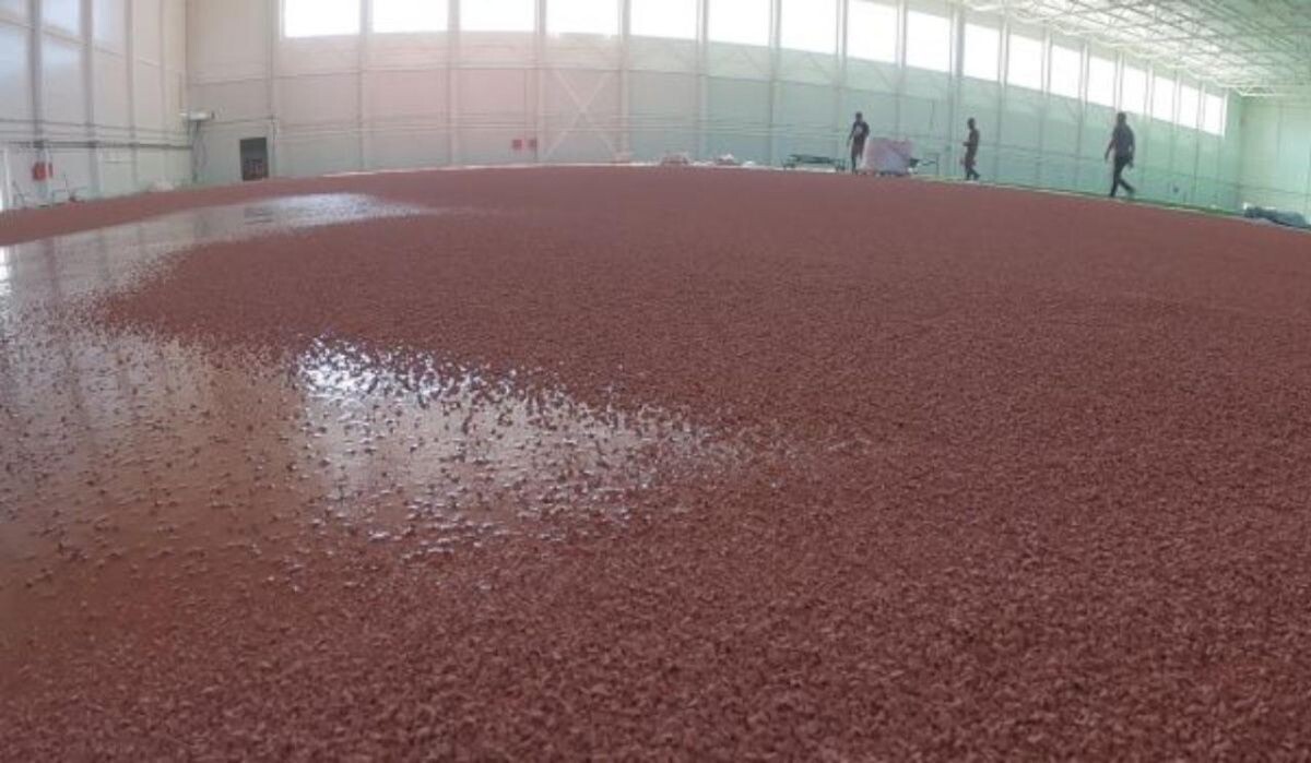     СпортивнЫЙ зал, Источник: vestivrn.ru Автор фото: ВГТРК Вести Воронеж