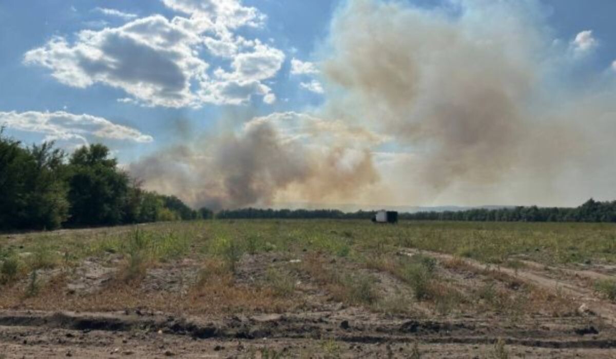     Поле. Источник: vestivrn.ru Автор фото: ВГТРК Вести Воронеж