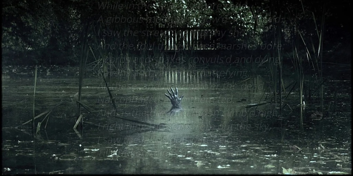 Фото из интернета 