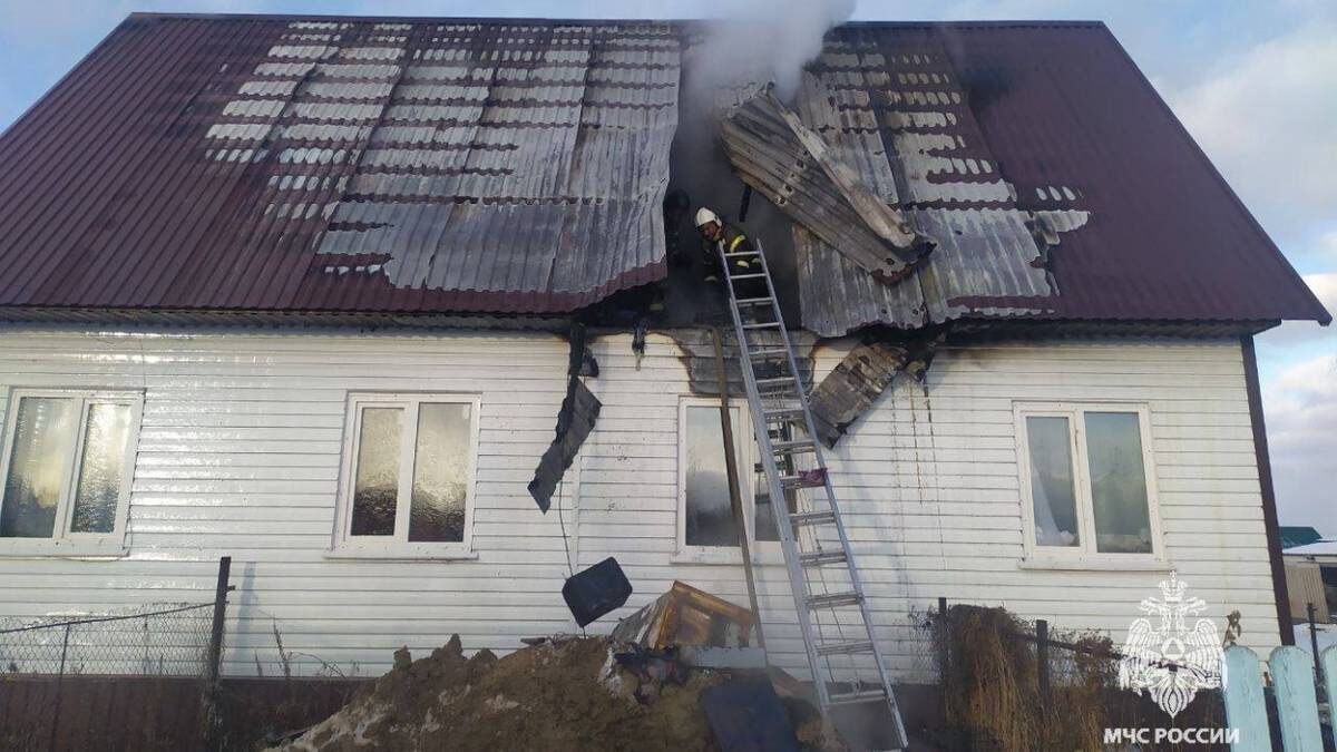    Фото: Telegram / МЧС Томской области