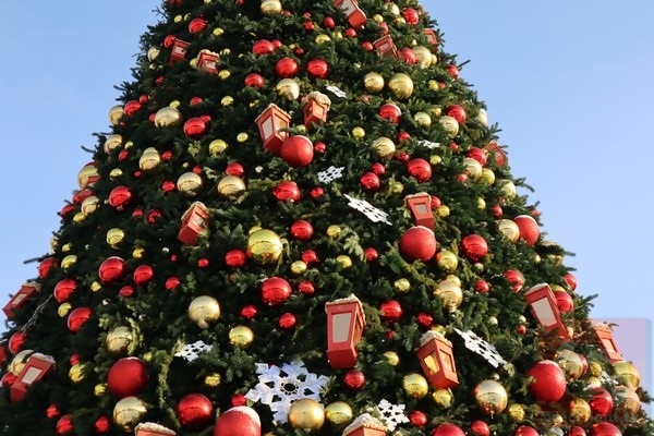 Фото: Прецедент