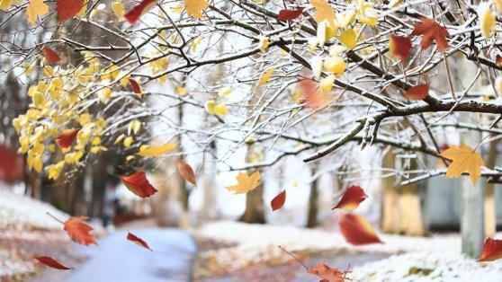    12 ноября в Москве ожидается переменная облачность, без осадков Егор Гордеев