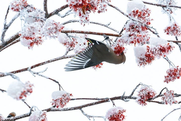    Фото из архива VN.ru