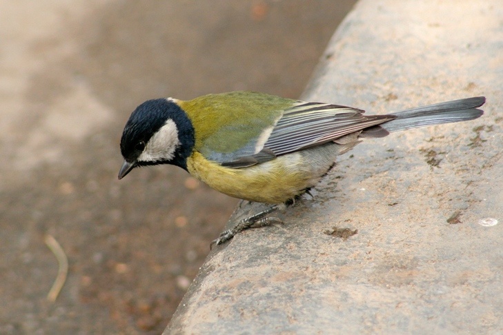 © Фото VN.ru.📷
