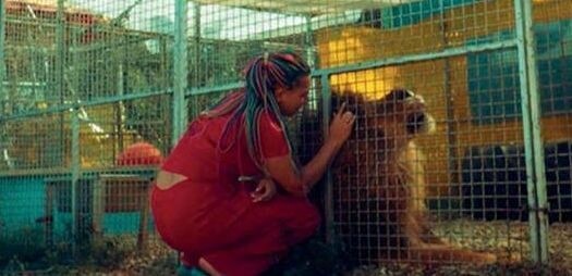  «Цирк счастья», 12+, 25мин. Реж. Мирослав Блажески. Девятилетний Кирилл родился в цирке. Его мама – воздушная гимнастка, а лучший друг – слепой лев по кличке Бонифаций. Кирилл рассказывает о цирке и о судьбе льва, мечтая летать над манежем, как его мама.