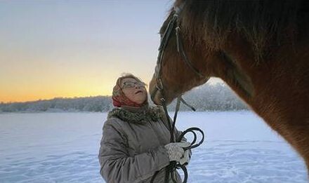 2. «Птица», 0+, 7 мин. Реж. Александр Ли. Наталья Порофьева много лет руководит конным клубом в Архангельске. Также она занимается иппотерапией – лечебным взаимодействием людей с физическими и психологическими проблемами с лошадьми.