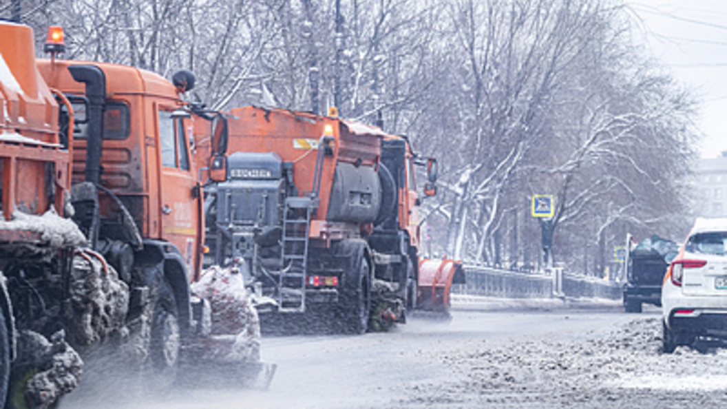    Фото: Константин Кокошкин/Globallookpress.