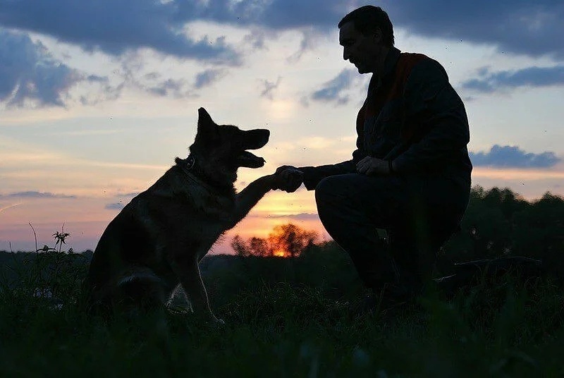 тут же улеглась и смотрела строго по сторонам