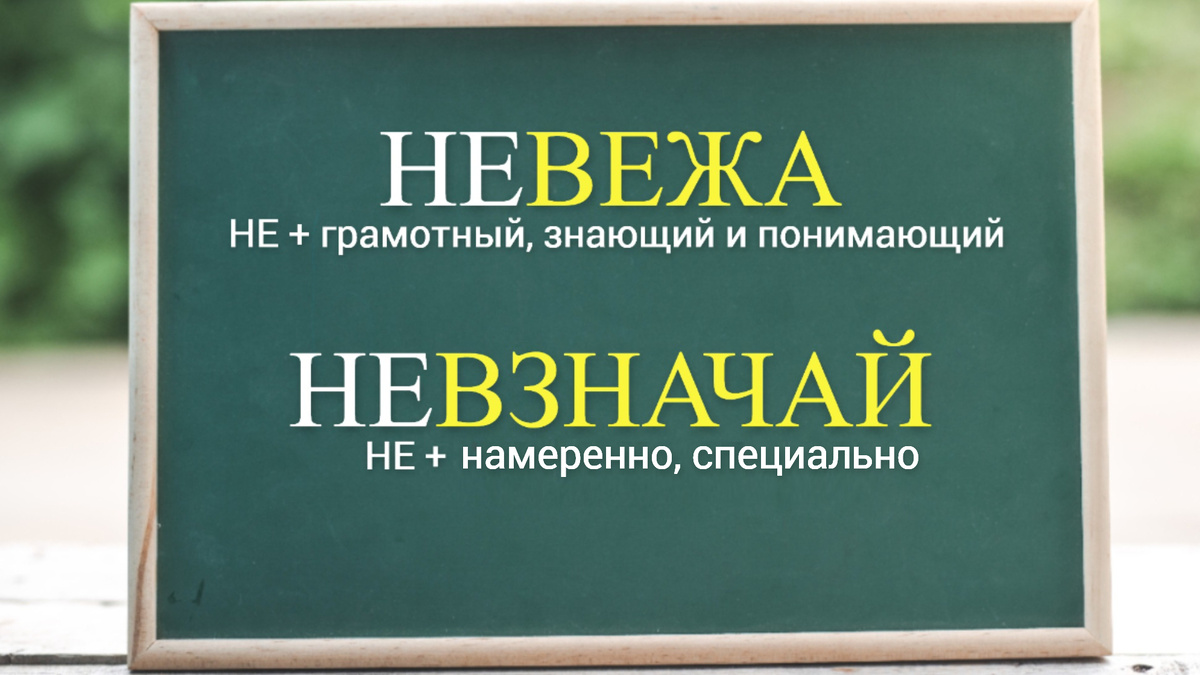 фото от freepik