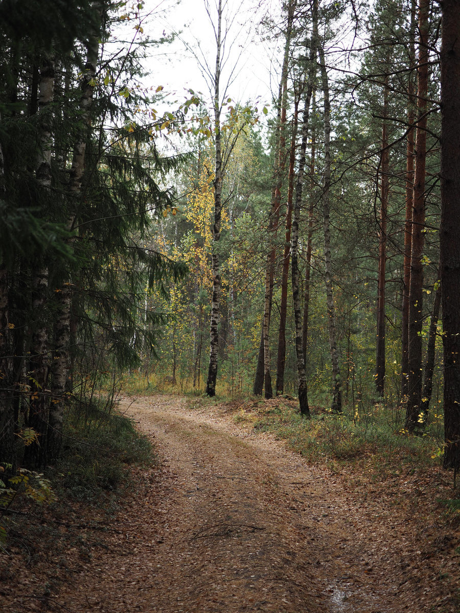 Дорога к Лачужским озерам