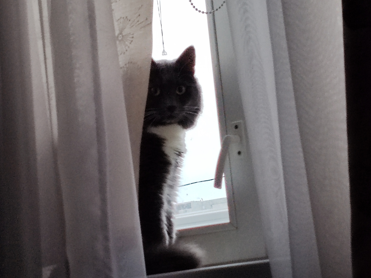 Фото автора канала. 