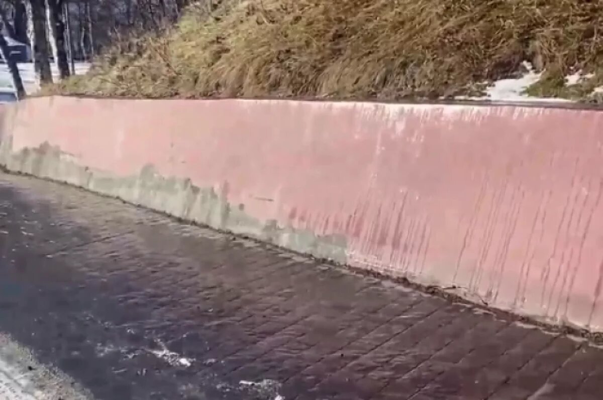    Парк на Никольской сопке в столице Камчатки за 100 млн нуждается в ремонте