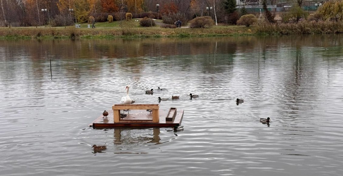    Фото: t.me/artsuvorov_live