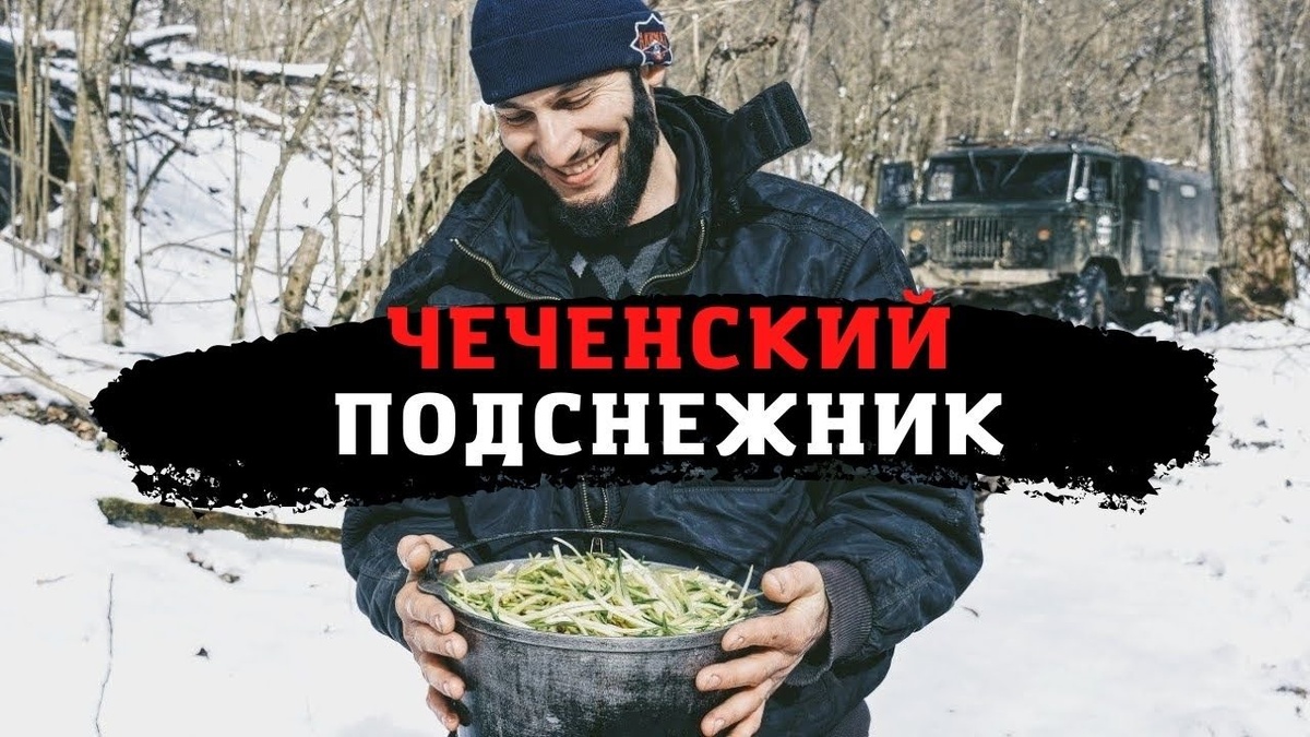 Сбор ранней черемши в чеченских горах