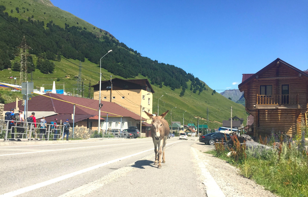 Главная улица Терскола. И почти его центр. 