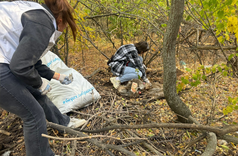    Экологическая акция в камышинском лесопитомнике (фото: центр «Планета молодых»)