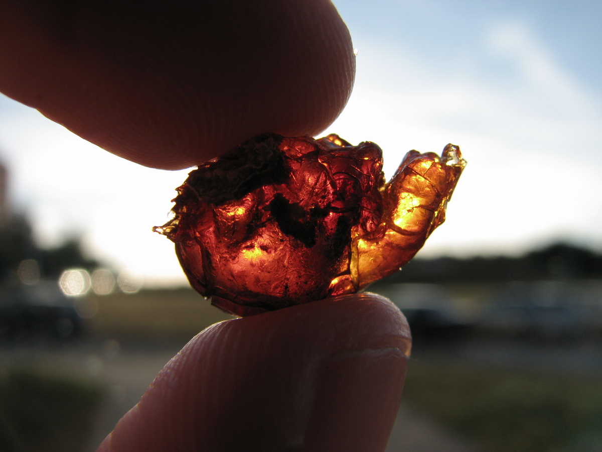 Фото: HTO / Wikimedia Commons