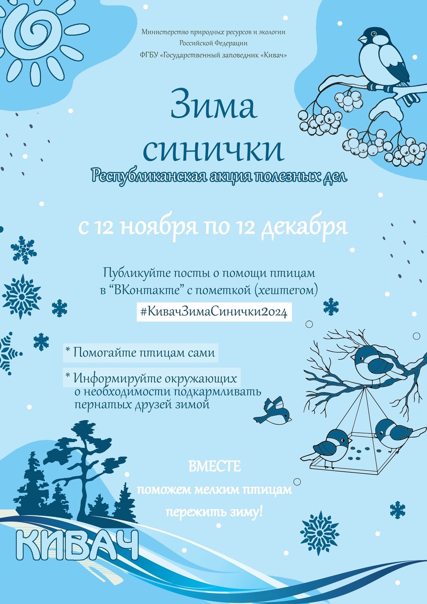    Акция «Синичкин день»