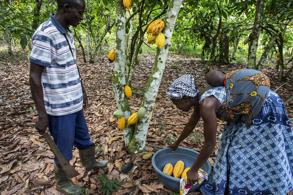 Фото: https://iz.ru/