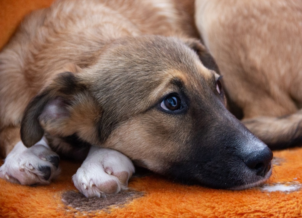 Кристи ищет 