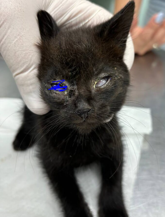 На осмотре у врача