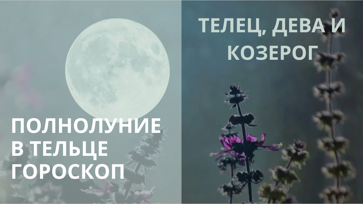 Полнолуние в сентябре 2024 фото Полнолуние в Тельце. Что следует ждать знакам "земли" - Тельцу, Деве и Козерогу?