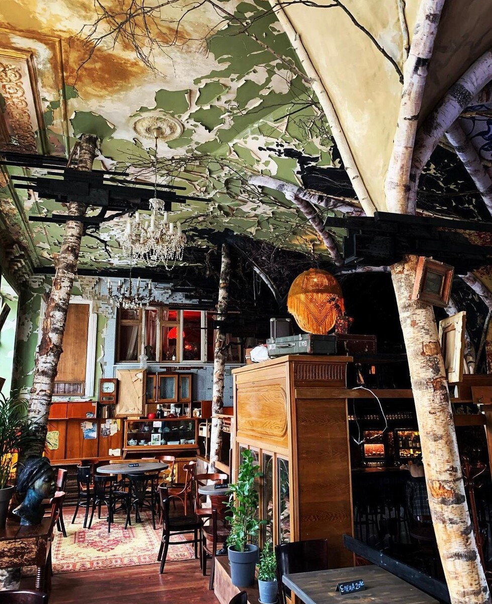 Бар Слезы березы © "Покажу Москву"