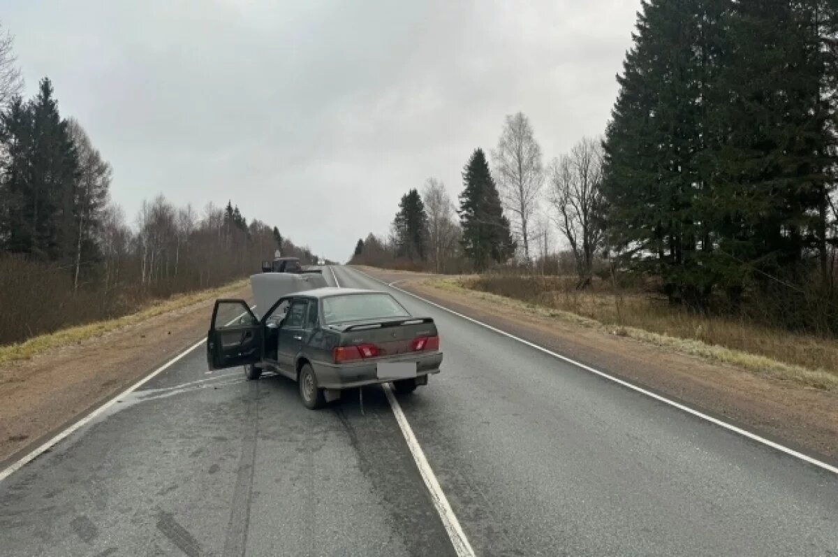    В Тверской области автомобиль сбил лося, пострадал трёхлетний ребёнок