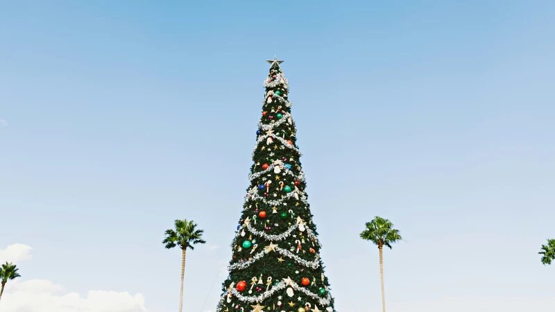     Новый год, пальмы, пляж. unsplash