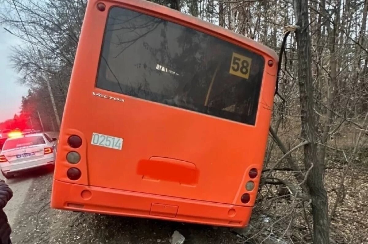    В МВД раскрыли детали ДТП с ПАЗом, вылетевшим в кювет у кладбища в Воронеже