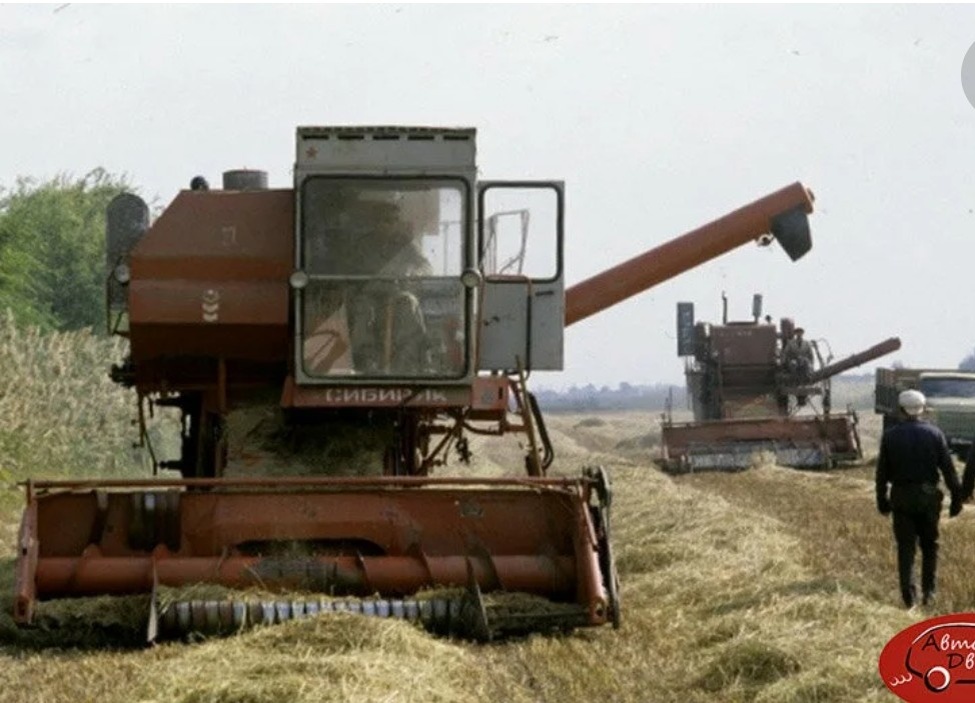 Картинка из свободного доступа. Уборка урожая. 
