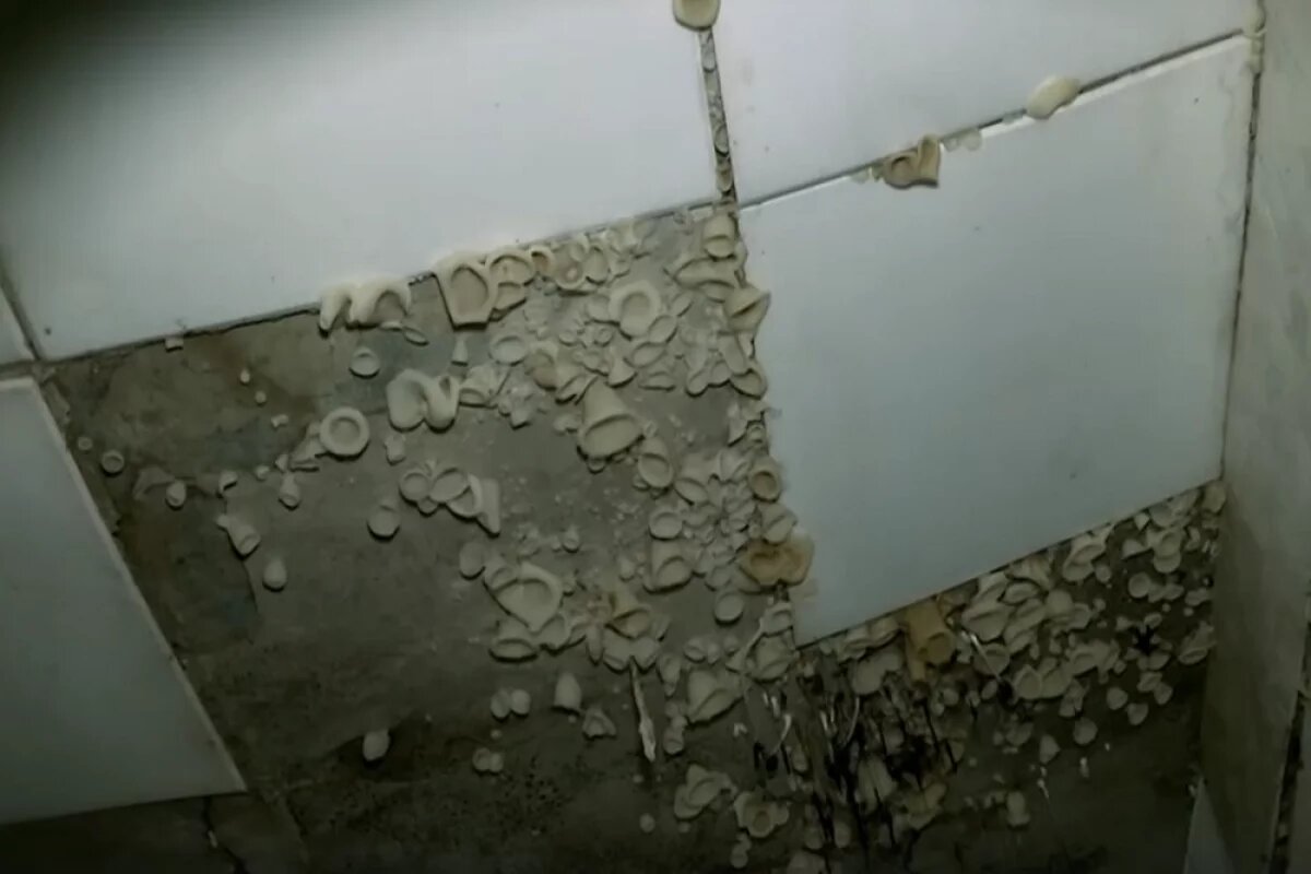    Глава СК занялся жилищными проблемами челябинского посёлка после ток-шоу