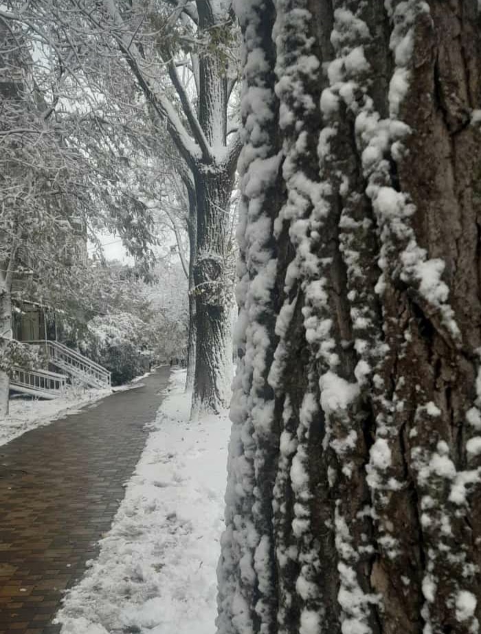 Домашний архив 